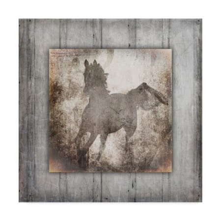 Lightboxjournal 'Gypsy Horse Center Frame.' Canvas Art,35x35
